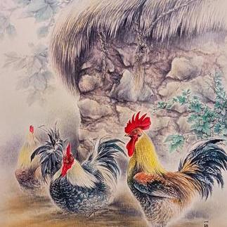 초가의 닭