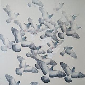 비상[비둘기]