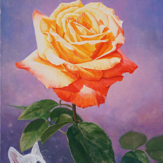 수줍음