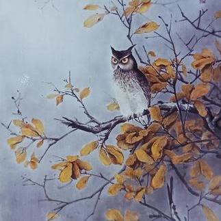 달밤 부엉이