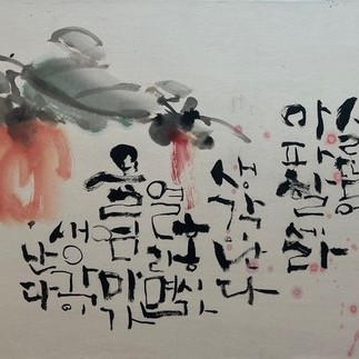 나훈아의 홍시